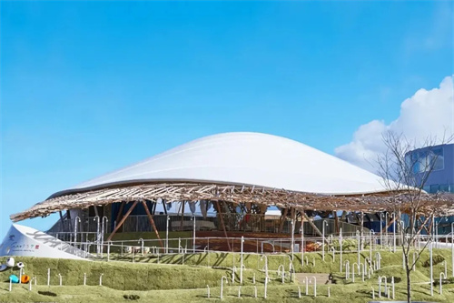 暑假來啦，佛蘭空間為您分享兒童友好無障礙館「水母館」